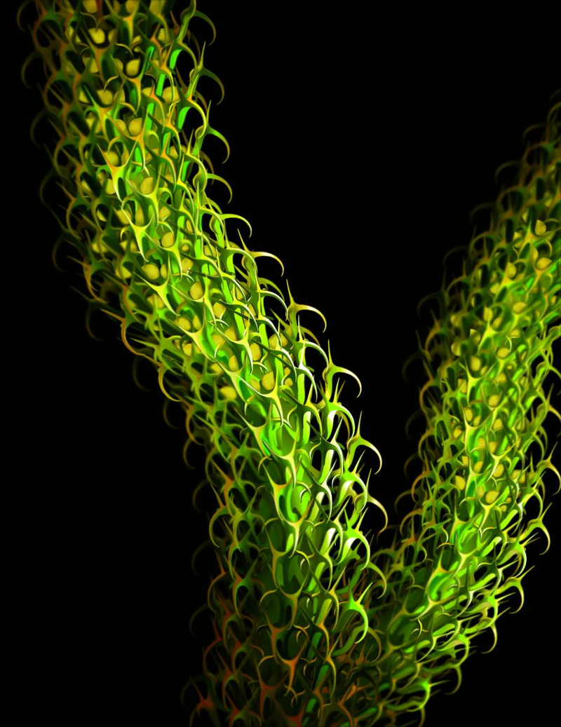 Illustration for article titled An Incredibly Life-Like Reconstruction Of A 400 Million-Year-Old Plant